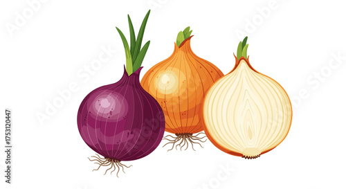 A detailed illustration of three fresh onions one red one orange and one cut in half revealing its layers.