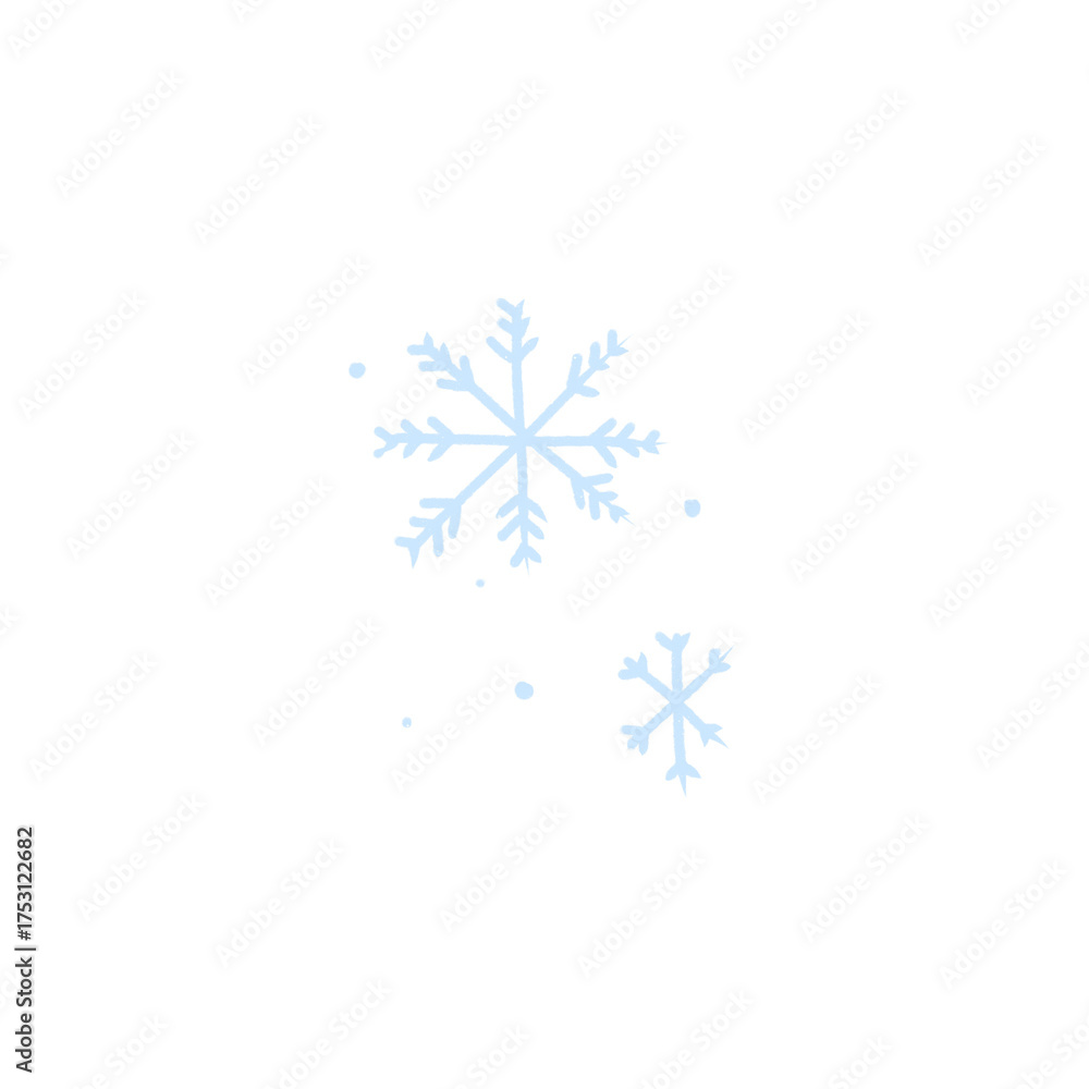 Fototapeta premium snowflakes