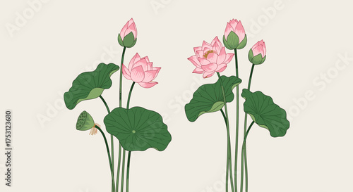 Beautiful pink lotus flowers with green leaves depicted in an artistic painting style.