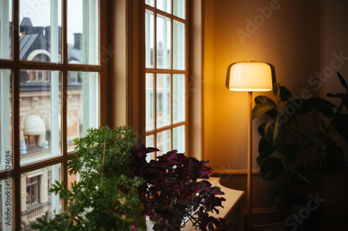 modern living room window