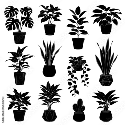 Collection of potted house plants silhouette isolated on white background