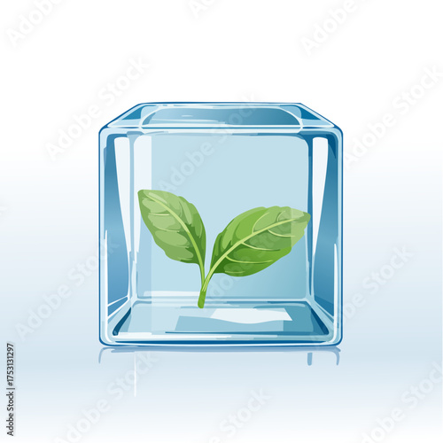 A translucent cube of ice holds a single, vibrant green basil leaf suspended in its perfectly clear center.
