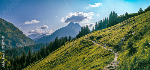 A hiking trail winds along the sunny slope of Mount Biberkopf with a view of the Rauhorn peaks. Bregenz Forest and Lech Valley landscape in summer light.