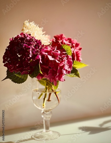 bouquet of Hortensien  in a vase