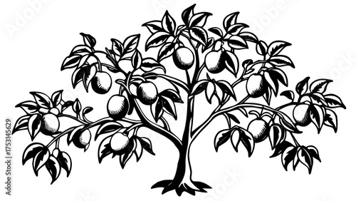 Vintage illustration of a fruit tree laden with ripe fruit