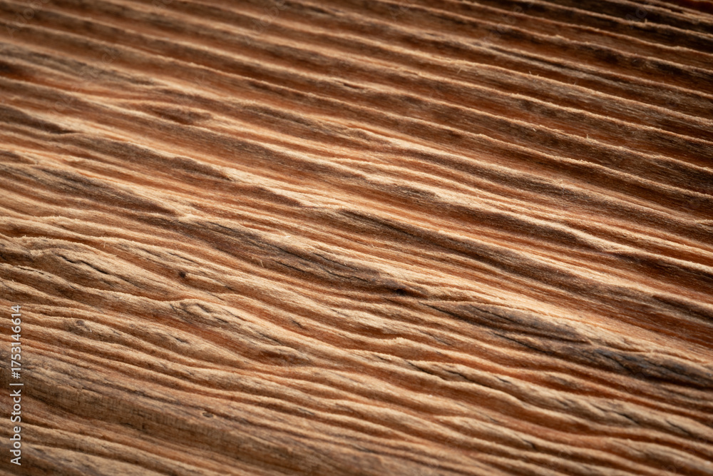 Fototapeta premium Old wood textured background. Dark driftwood surface, burnt wood brushing, macro brown floor