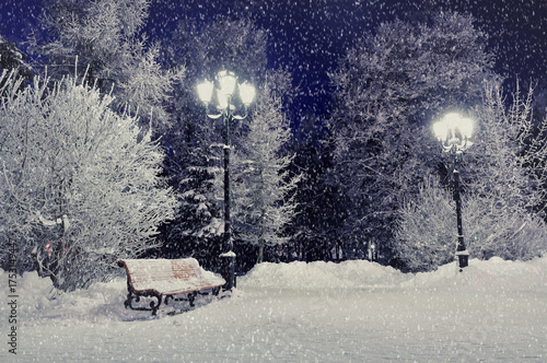 Winter night landscape scene of snow covered bench among snowy winter trees and lights, winter twilight park view