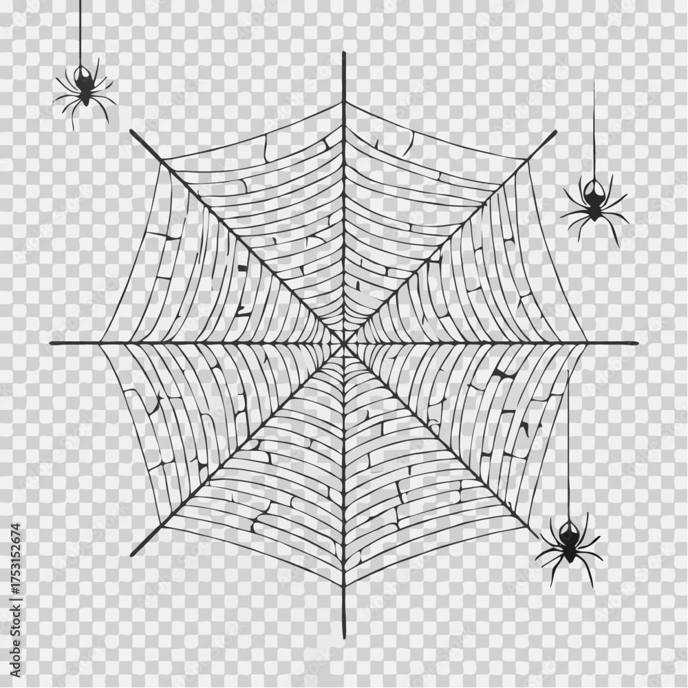 Fototapeta premium Spider and Web Vector
