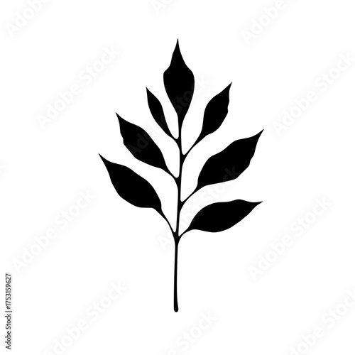 a simple black and white botanical illustration of a leafy stem
