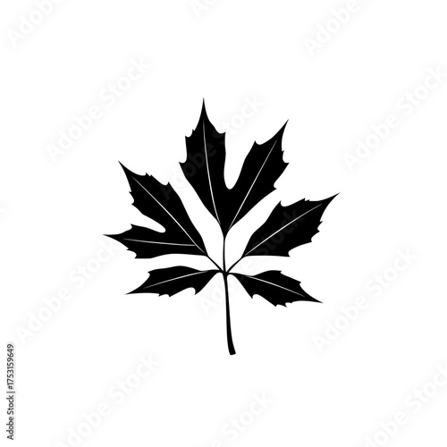 stylized black and white illustration of a single maple leaf on a white background