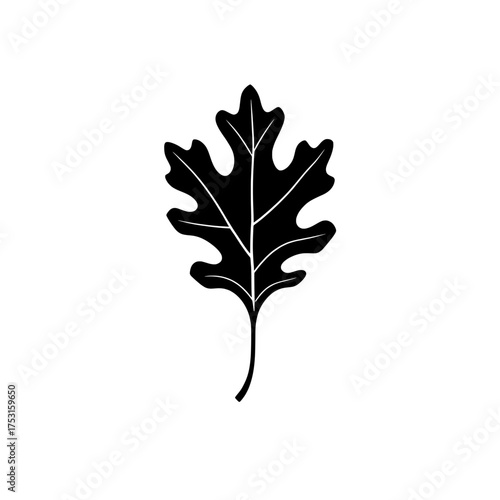 simple black and white oak leaf vector illustration