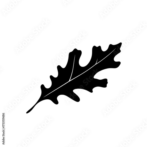 silhouette of a single oak leaf with detailed venation on a white background