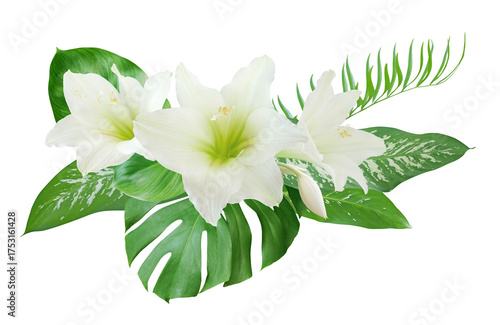 White Lily flower bouquet isolated on transparent background
