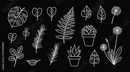 Hand-drawn floral and heart designs, whimsical white sketches on black background, decorative romantic illustration for craft, design, and invitations