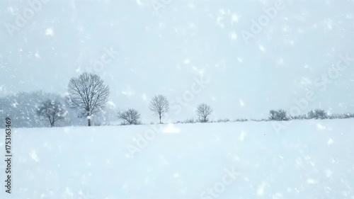 Wallpaper Mural A winter landscape features a snowy field with bare trees against a hazy sky with falling snowflakes. The light is soft Torontodigital.ca