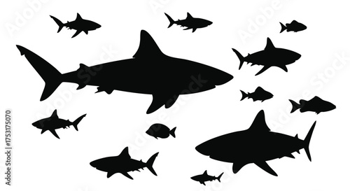 Silhouette Sharks in the Ocean Depths: An Exploration of Marine Predators Swimming Together Gracefully Amidst the Deep Sea Shadows