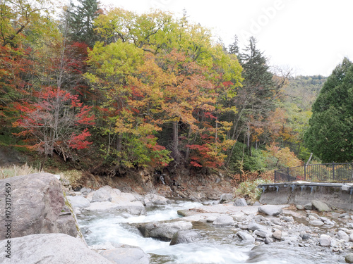 ユウトムラウシ川と紅葉