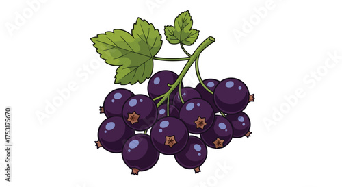 Isolated vibrant blackcurrant cluster with vivid green leaves, digitally illustrated on a clean white background creating an aesthetic visual appeal