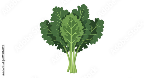 Vibrant depiction of curly kale leaves, showcasing organic produce for healthy eating concepts and culinary visualizations