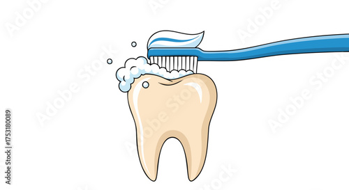 Illustrated tooth being brushed, promoting the importance of dental hygiene and the health benefits of maintaining a clean and healthy smile