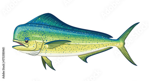 Vibrant Mahi-Mahi Illustration Showcasing its Distinctive Coloration and Form with Artistic Detail and Precision
