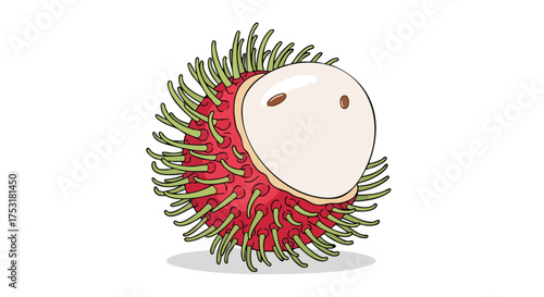 Detailed illustration of a single rambutan fruit, showcasing its vibrant red shell and prominent green spines against a white backdrop