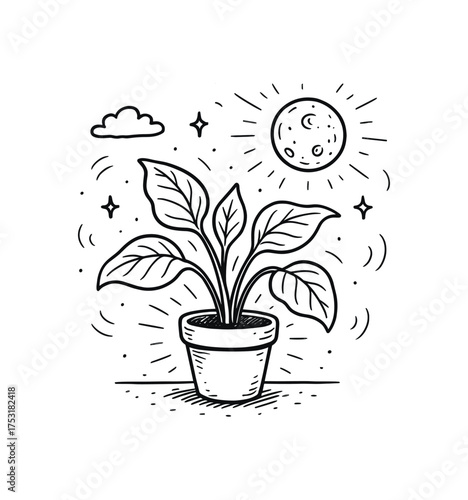 doodle illustration of houseplant glowing faintly under moonlight clean black and white line art with slightly hand drawn strokes gentle motion lines and peaceful dreamlike surreal details