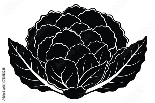 fresh cauliflower with leaves of black silhouette