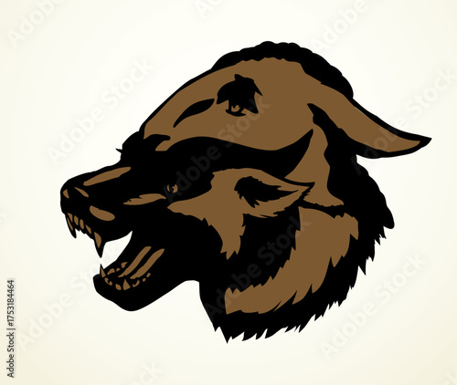 Vector drawing. Wolf in sheep's clothing
