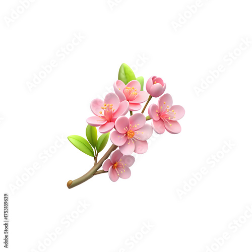 Delicate pink cherry blossom branch detailed realistic nature photography isolated on black