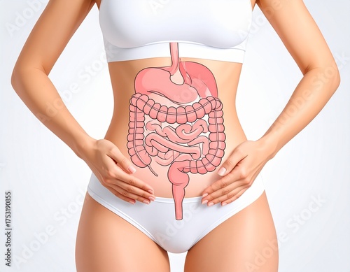 Female Abdomen with Schematic Digestive Tract Illustration
