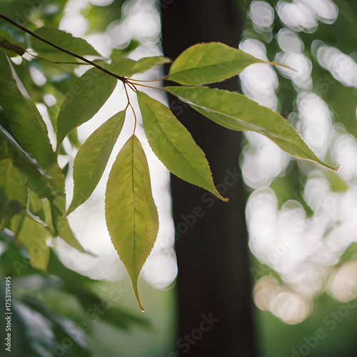 green leaves on a branch