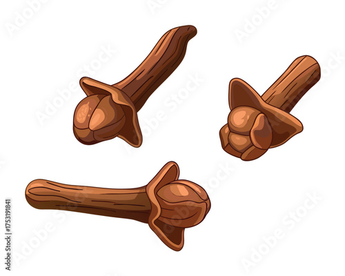 Pure Cloves to Enhance Taste and Wellness