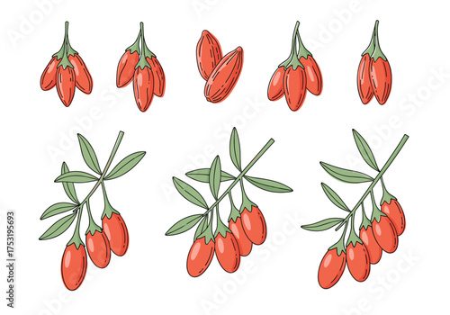 Goji berries are small red fruits known for their health benefits.