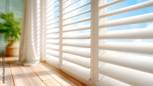 A serene view of white shutters allowing soft sunlight to filter into a relaxing indoor space, complemented by a green plant, enhancing the tranquil ambiance.
