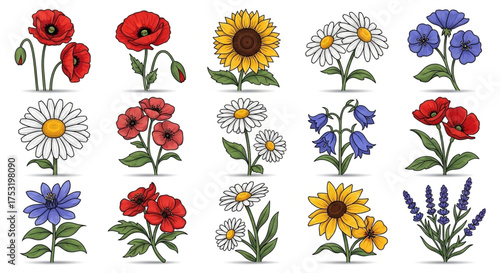 Collection of handdrawn flowers in various colors and styles, includes poppies, sunflowers, daisies, and bluebells for floral designs