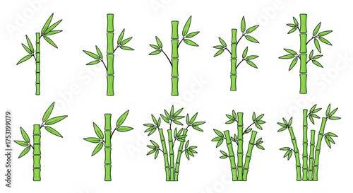 Set of bamboo stems with leaves collection of bamboo plants in different shapes bamboo forest elements for design and decoration