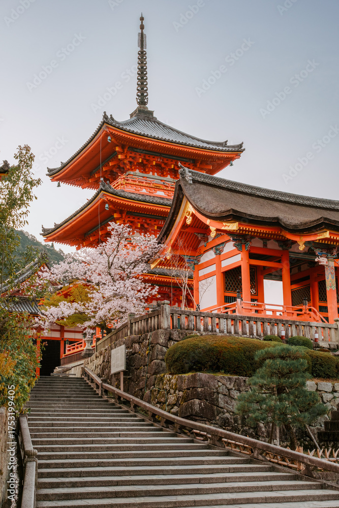 Naklejka premium Kiyomizudera Temple at dawn in Kyoto, Japan