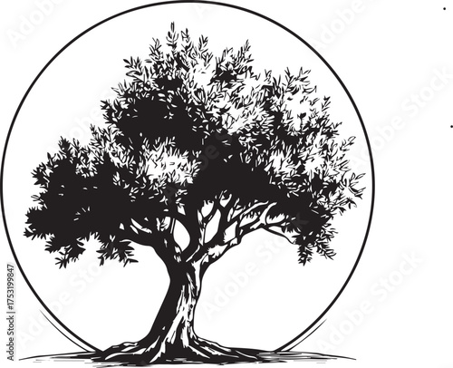 vector argan tree silhouette