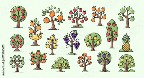 Illustration of various fruit trees with different fruits such as apples, oranges, bananas, grapes, pears, and pineapple on a light green background
