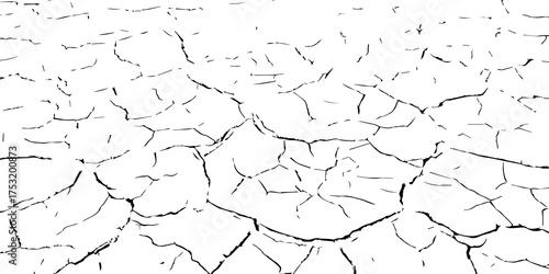 Cracked dry soil texture background in black and white. Drought land surface showing parched earth and environmental dryness. Perfect for climate change, desert, and natural texture design themes.