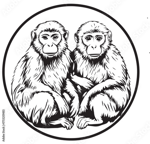 two Formosan rock monkeys