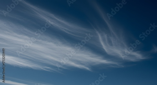 高空に流れる繊細な巻雲