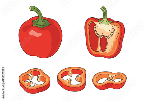 Various forms of a red bell pepper shown in illustration.