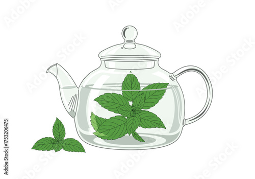 Refreshing herbal tea brewing in a clear glass teapot with fresh mint leaves inside.