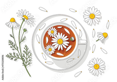 A soothing cup of chamomile tea with fresh flowers and petals on a white background.