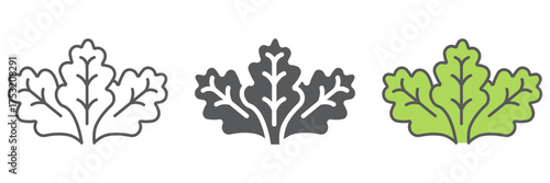 Lettuce icon, vegetable and organic, salad sign, vector graphics, a linear pattern on a white background. editable stroke