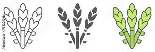 Asparagus icon, vegetable and organic, vegetarian food sign, vector graphics, a linear pattern on a white background. editable stroke