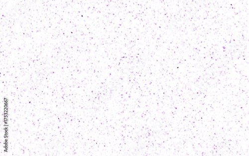 pink paint on a wall. white pebble stones wall texture. terrazzo floor background. marble sandstone surface.