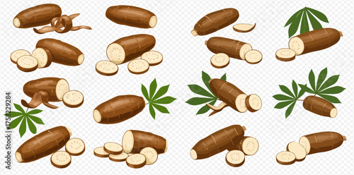 Illustration of cassava roots and leaves, some sliced, on a white background.